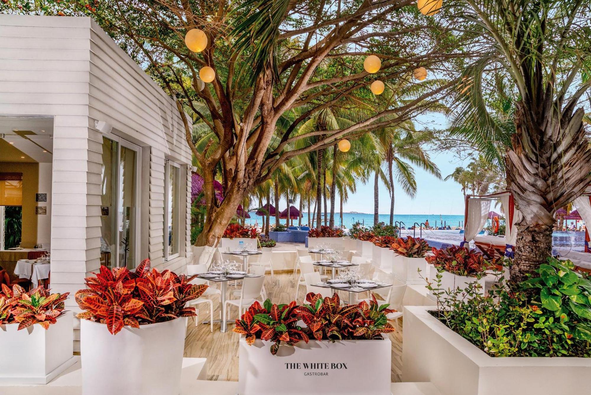 The Sens Cancun By Oasis (Adults Only) Экстерьер фото